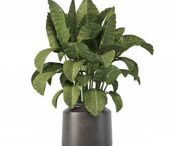 Modern Potted Green Plant-ID:817986013