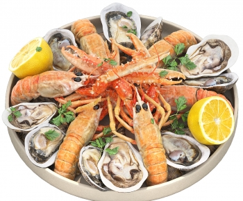 Modern Aquatic Product-ID:306631097