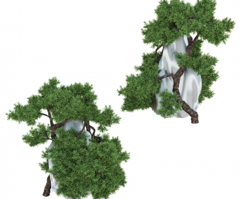 Modern Tree-ID:193295008