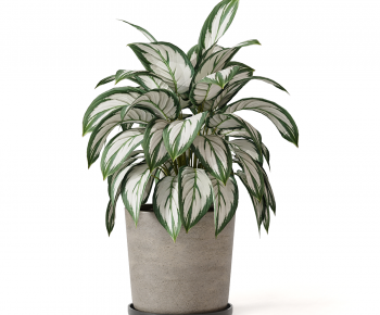Modern Potted Green Plant-ID:738400948