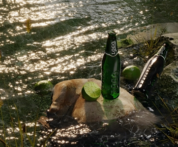 Modern Landscape-ID:635135897