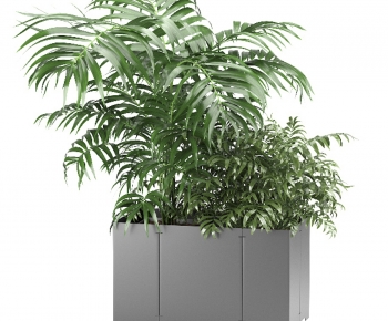 Modern Flower Bed, Flower Bowl, Flower Box-ID:477612979