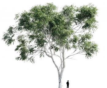 Modern Tree-ID:207532884