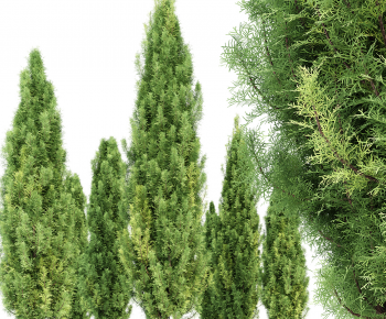 Modern Tree-ID:756776098