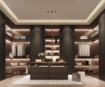 Modern Clothes Storage Area-ID:509719849