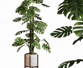 Modern Ground Green Plant Potted Plants-ID:209974056