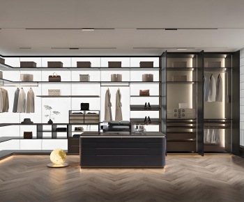 Modern Clothes Storage Area-ID:434119944