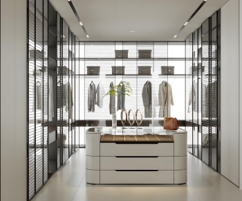 Modern Clothes Storage Area-ID:988703012