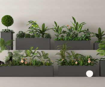 Modern Flower Bed, Flower Bowl, Flower Box-ID:193095921