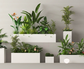 Modern Flower Bed, Flower Bowl, Flower Box-ID:518663884
