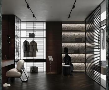 Modern Clothes Storage Area-ID:153305057