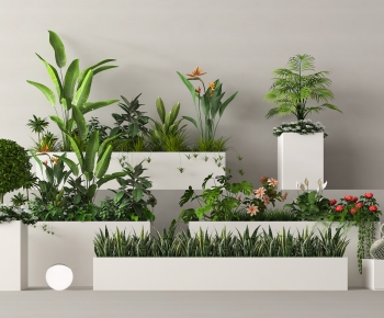Modern Flower Bed, Flower Bowl, Flower Box-ID:961365946