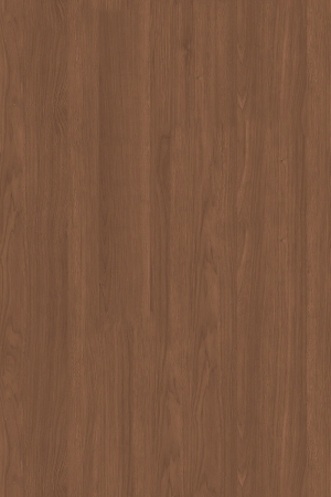 ModernWood Texture
