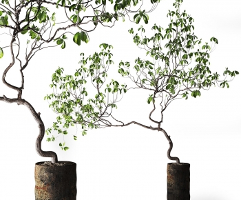 Modern Ground Green Plant Potted Plants-ID:427140009