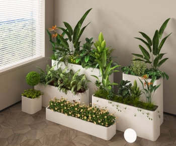 Modern Flower Bed, Flower Bowl, Flower Box-ID:760369356