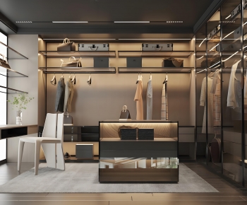 Modern Clothes Storage Area-ID:329047921