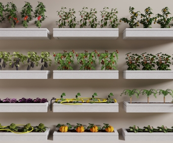 Modern Crop-ID:722891094