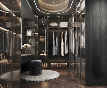 Modern Clothes Storage Area-ID:255474098