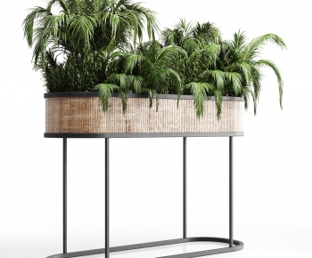 Modern Flower Bed, Flower Bowl, Flower Box-ID:710751066