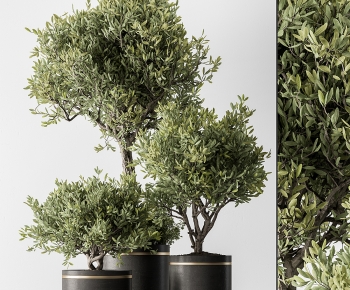 Modern Ground Green Plant Potted Plants-ID:100419592