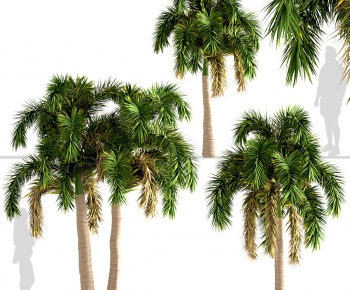 Modern Tree-ID:491126069