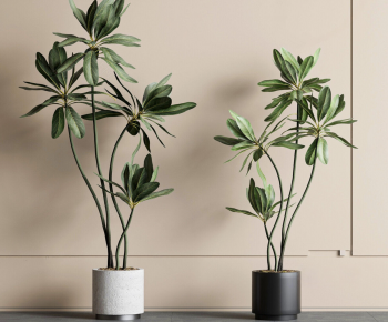 Modern Ground Green Plant Potted Plants-ID:793364056