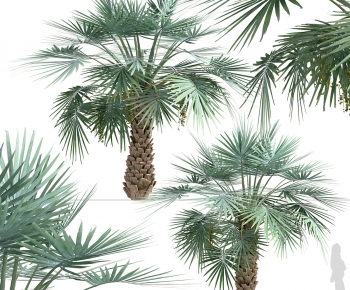 Modern Tree-ID:206264975