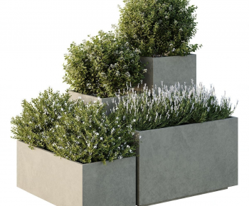 Modern Flower Bed, Flower Bowl, Flower Box-ID:998111969