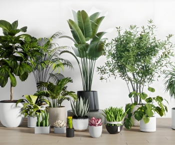 Modern Ground Green Plant Potted Plants-ID:543100127