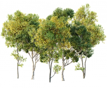 Modern Tree-ID:714694029