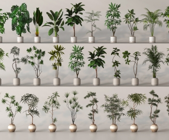 Modern Ground Green Plant Potted Plants-ID:611100916