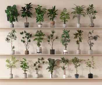 Modern Ground Green Plant Potted Plants-ID:269016982