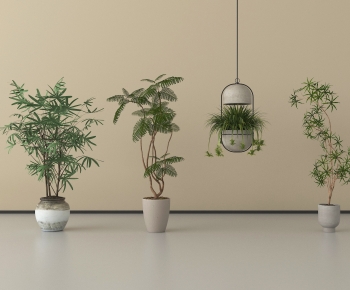 Modern Ground Green Plant Potted Plants-ID:708599096