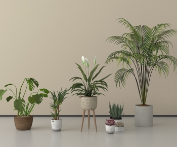 Modern Ground Green Plant Potted Plants-ID:320111049