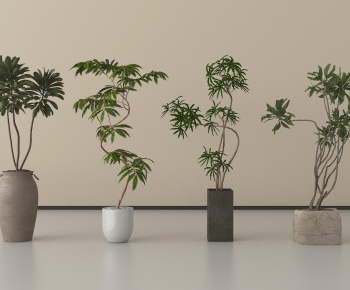 Modern Ground Green Plant Potted Plants-ID:220357897