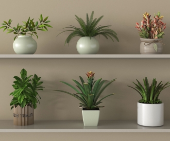 Modern Potted Green Plant-ID:788851021