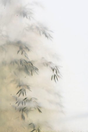 New Chinese StyleOther