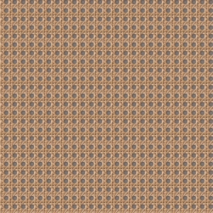 ModernRattan Texture