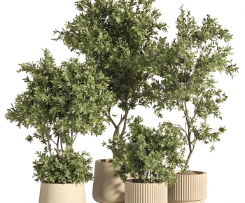 Modern Ground Green Plant Potted Plants-ID:277803909