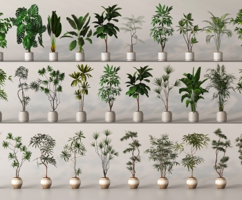 Modern Ground Green Plant Potted Plants-ID:922350887