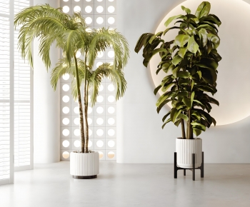 Modern Ground Green Plant Potted Plants-ID:584700153