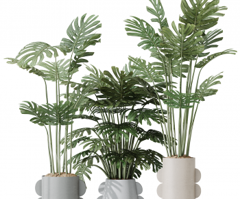 Modern Ground Green Plant Potted Plants-ID:941031935