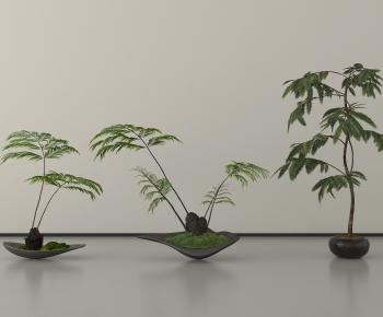 New Chinese Style Bonsai-ID:898567914