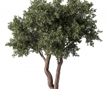 Modern Tree-ID:126918086