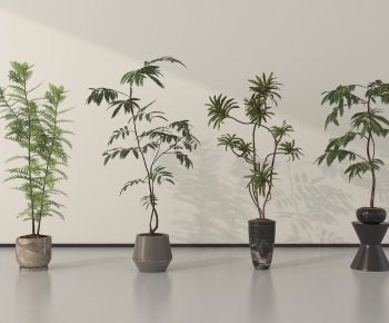 Modern Ground Green Plant Potted Plants-ID:549581059