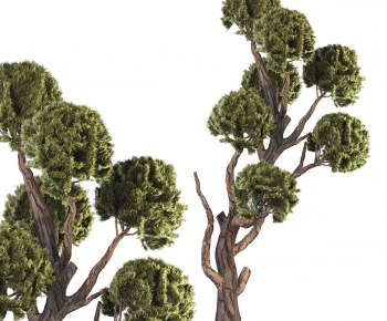 Modern Tree-ID:806699995