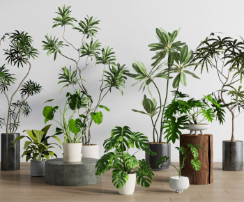 Modern Ground Green Plant Potted Plants-ID:107181078