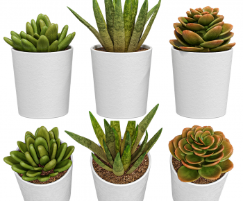 Modern Potted Green Plant-ID:133197075