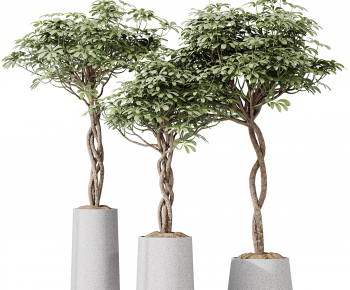 Modern Ground Green Plant Potted Plants-ID:875581987