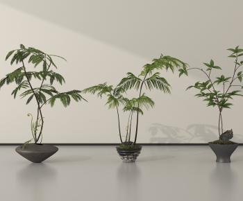 Modern Ground Green Plant Potted Plants-ID:788592104